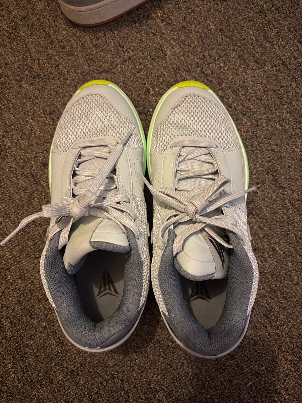 Nike Ja 1 Light Silver